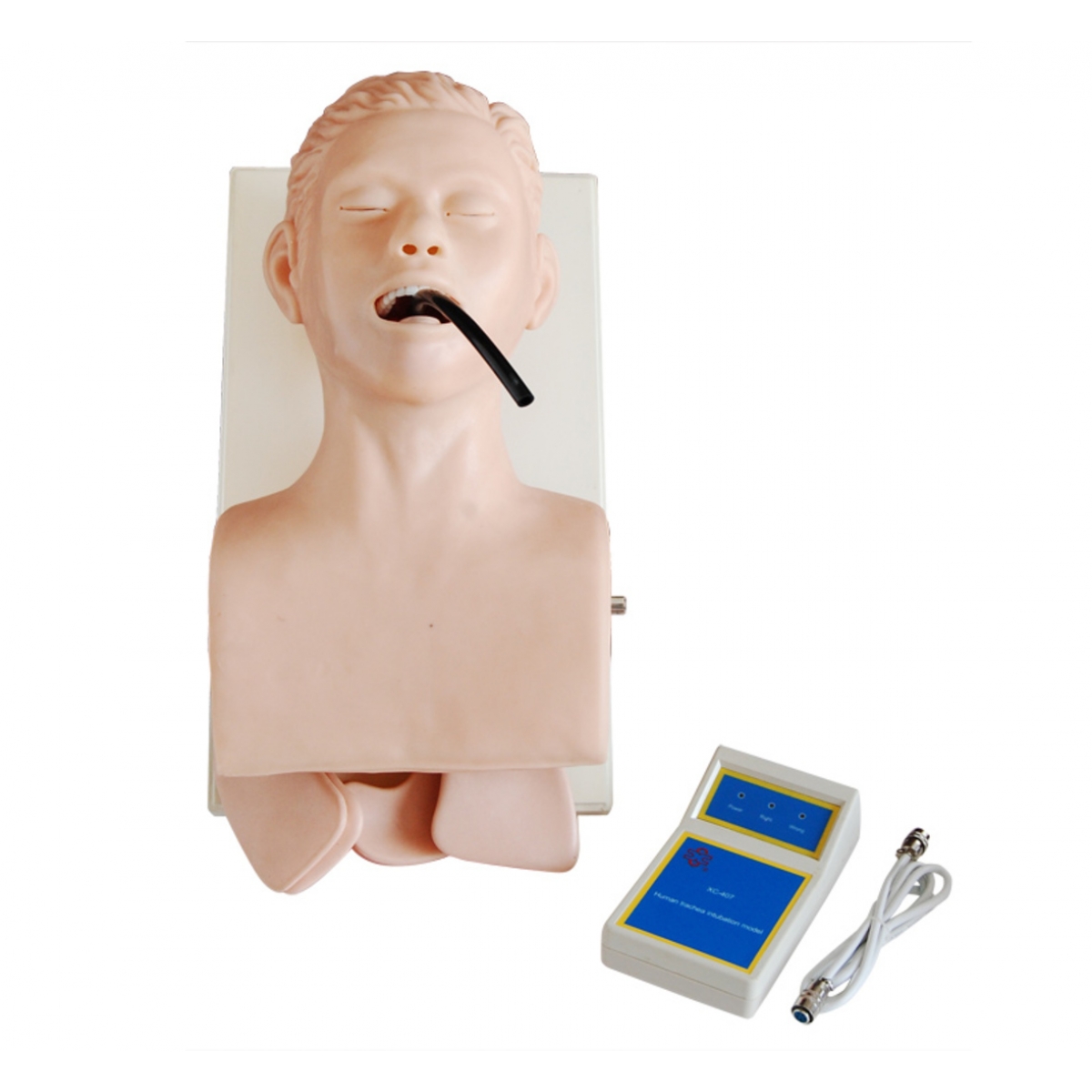 Myaskro Human Trachea Intubation Model With Monitor